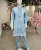 Ice blue garden chikankari
