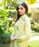 Chikankari Co-ord  Set - Lemon