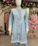 Ice blue garden chikankari