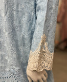Ice blue garden chikankari