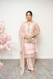 Chiffon and organza machine embroidered 3 piece