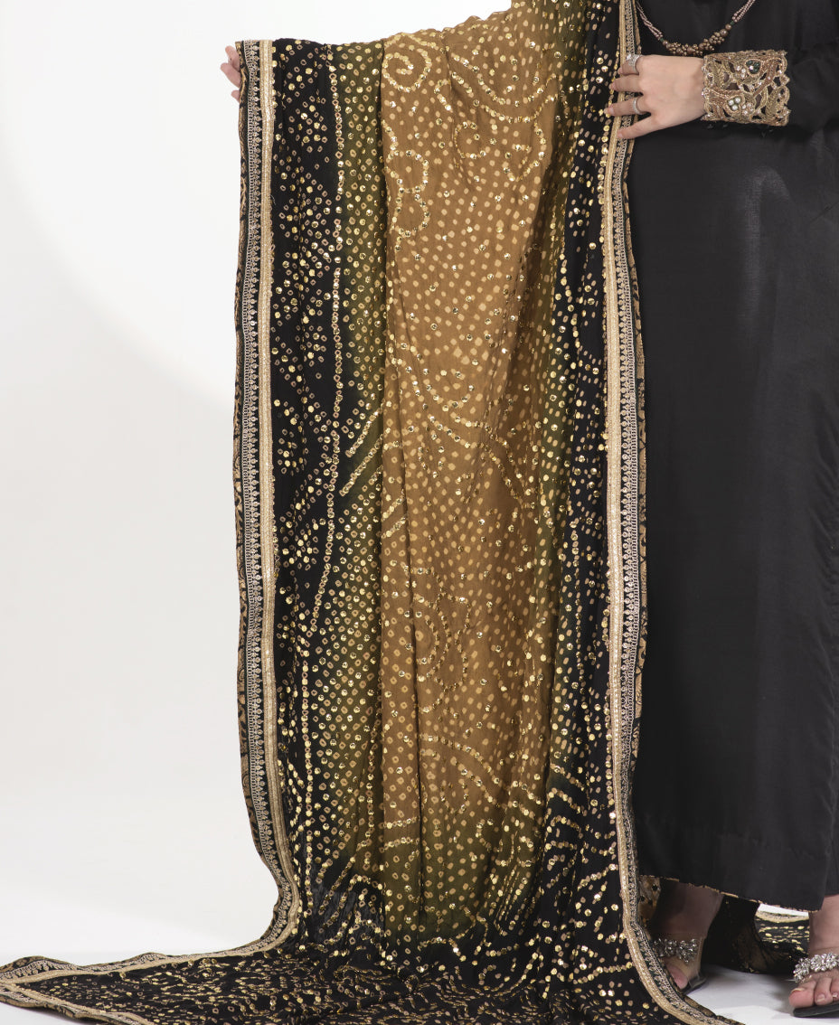 Zarina-e-Zeb ( Rawsilk Chunri outfit)
