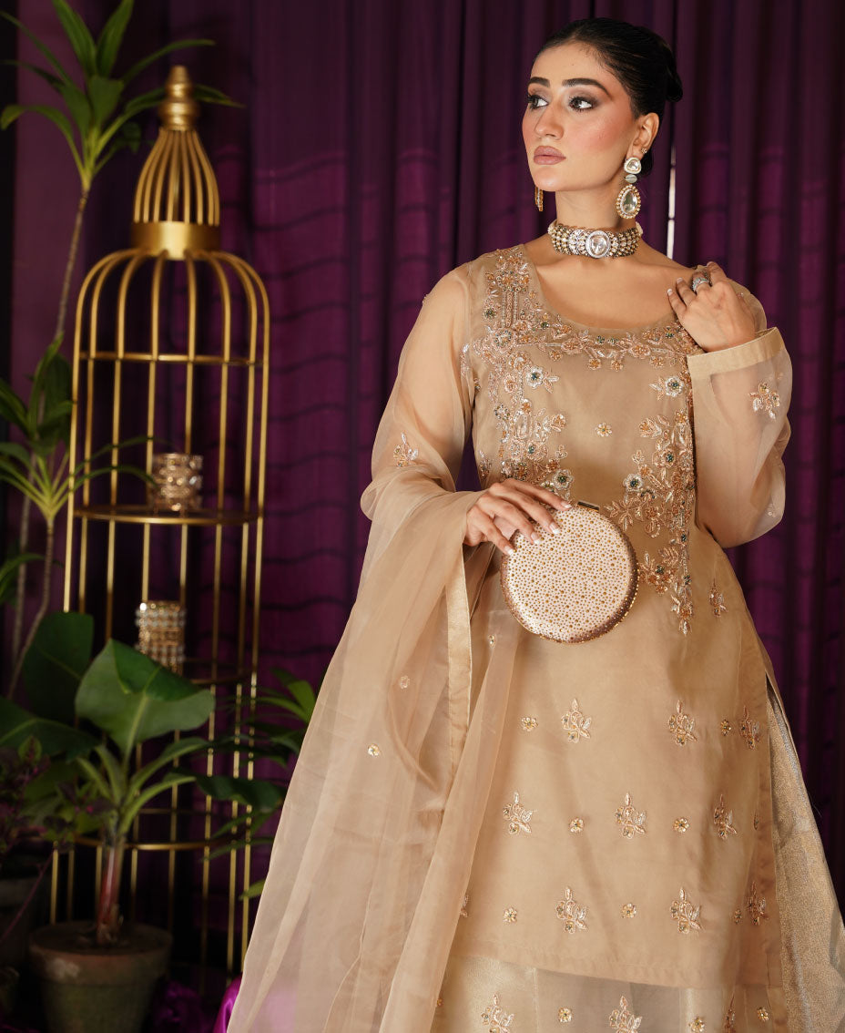 The Majestic Organza (3pcs)