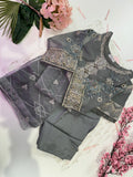 Chiffon and organza machine embroidered 3 piece