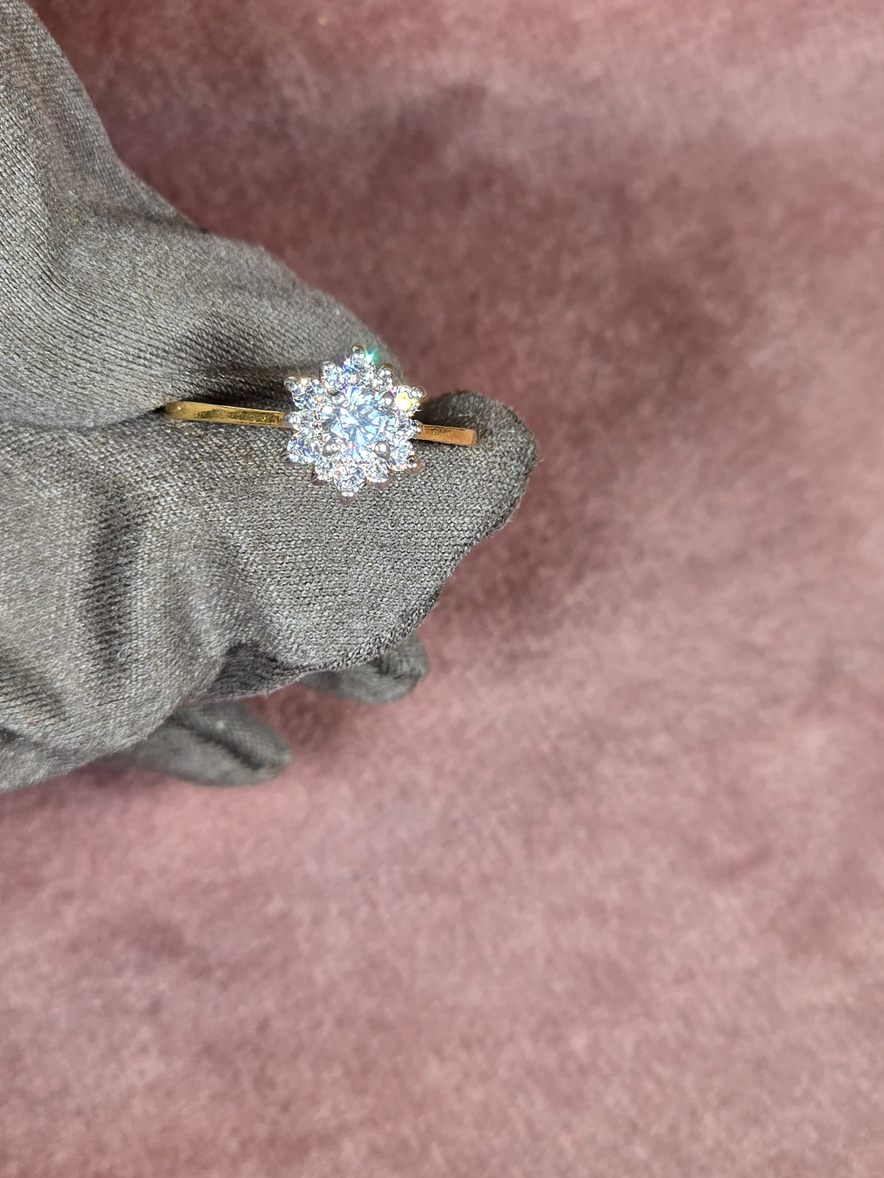 Sparkles in Bloom