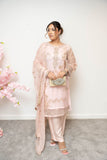 Chiffon and organza machine embroidered 3 piece